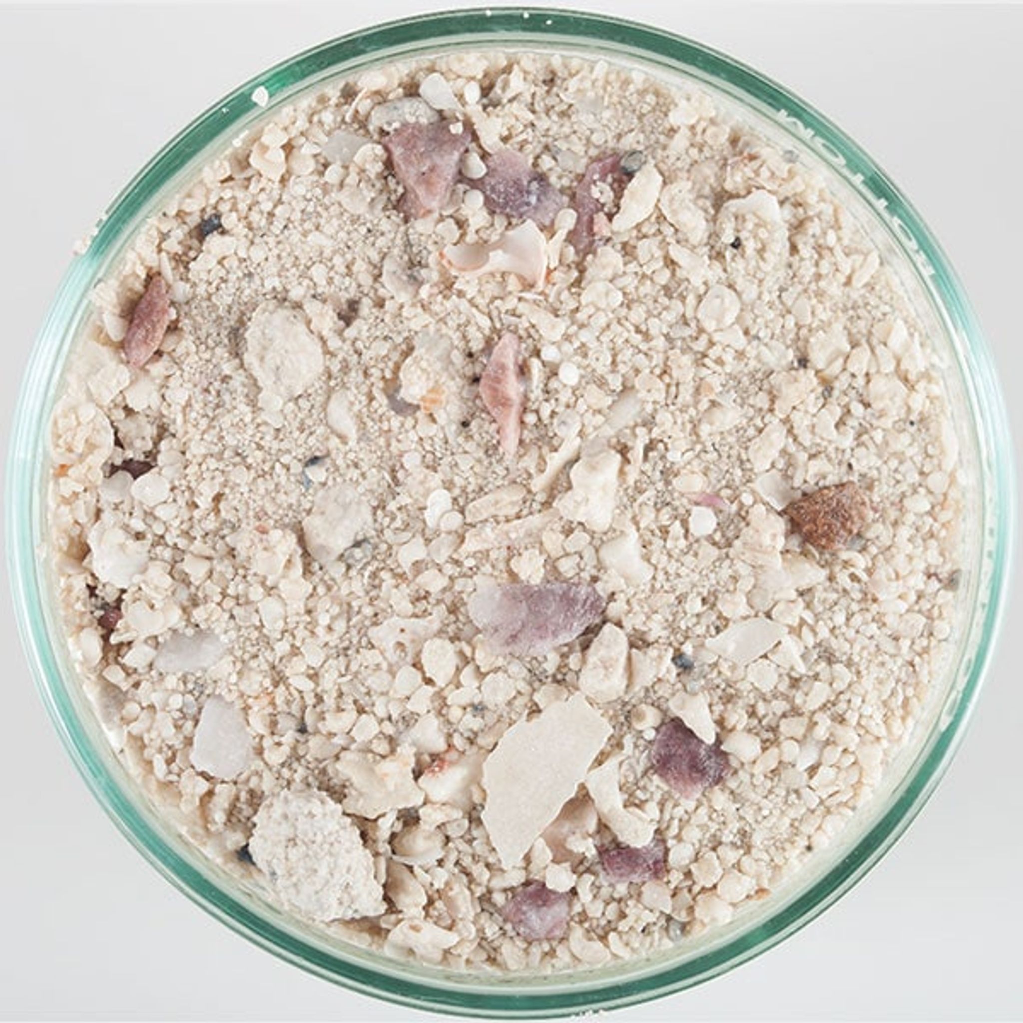 Caribsea Arag-Alive Bimini Pink Live Sand