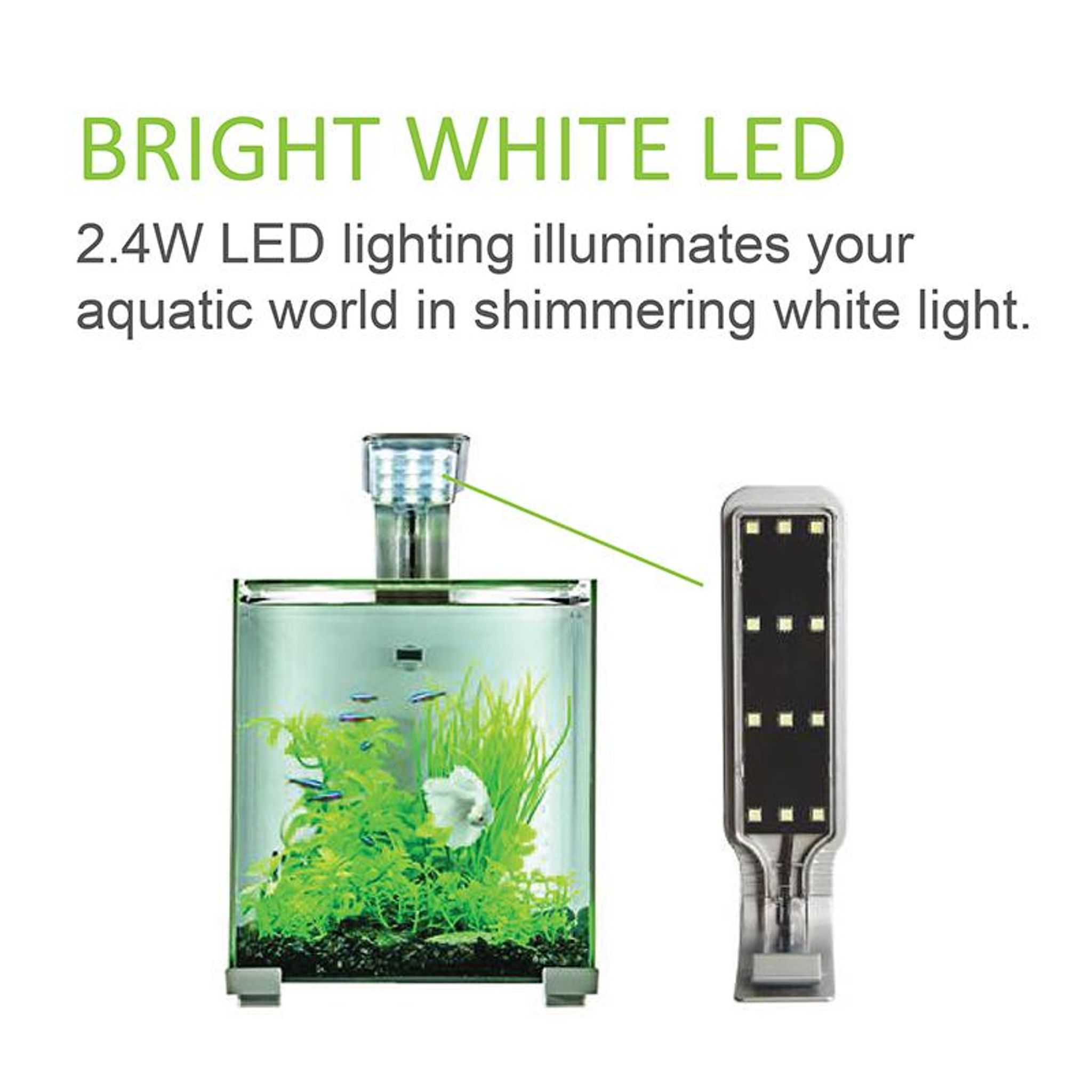 [Aquasyncro] Aquaclear-S Designer Aquarium Fish Tank (with LED
