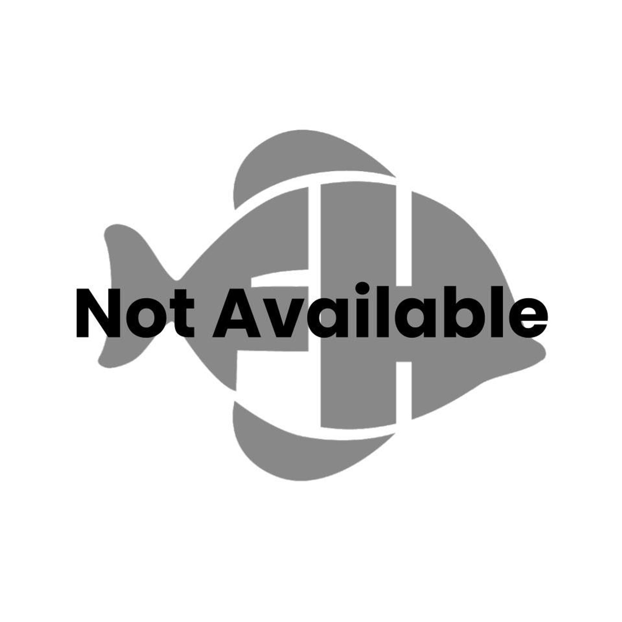 Not Available