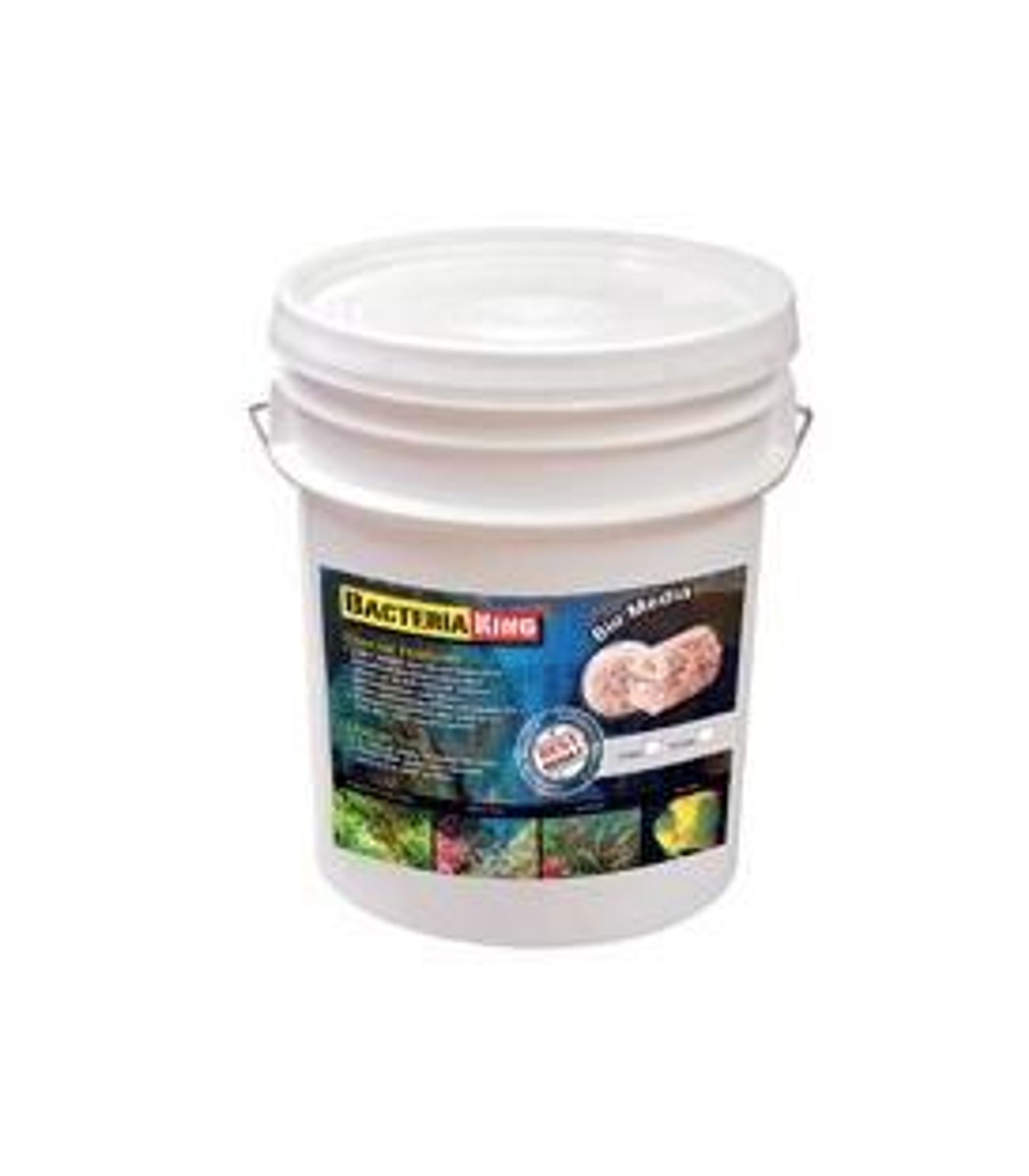BACTERIA KING 5LITRES