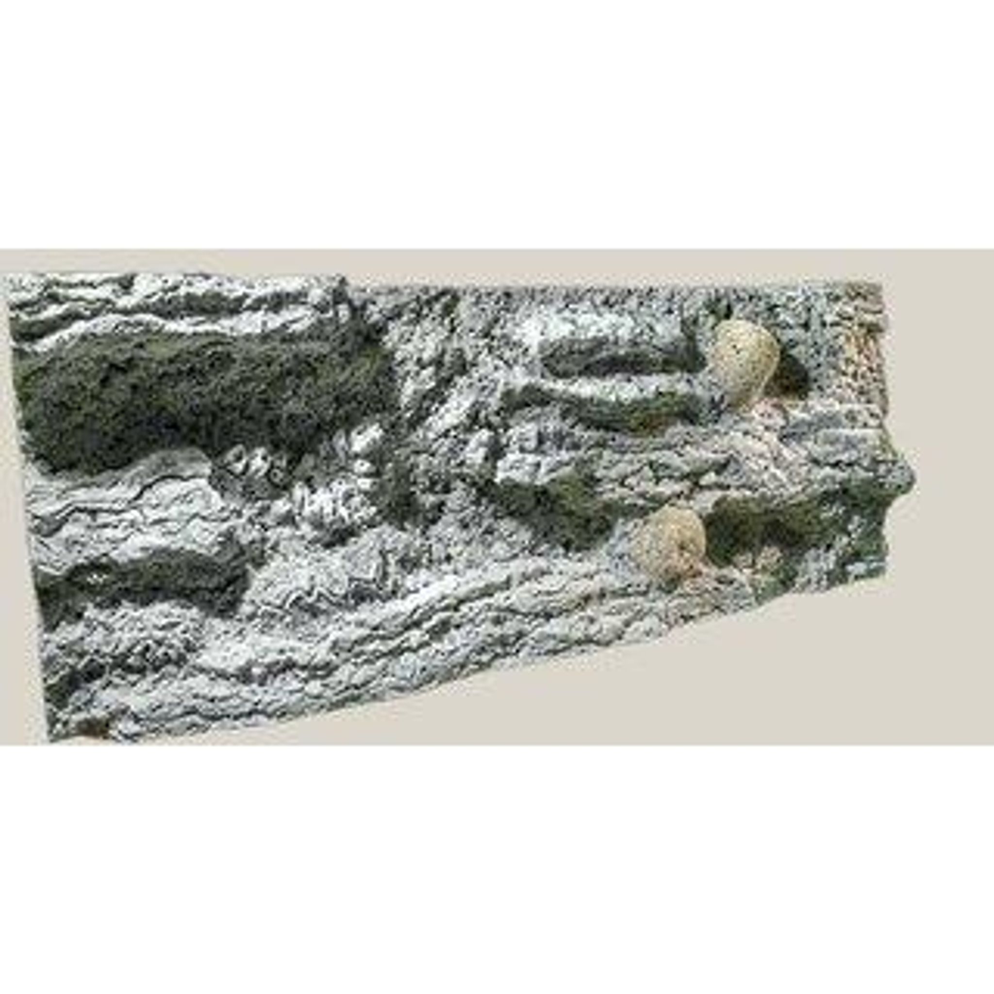 BACK TO NATURE 3D BACKGROUND REEF(L: 160 X H: 60 CM)