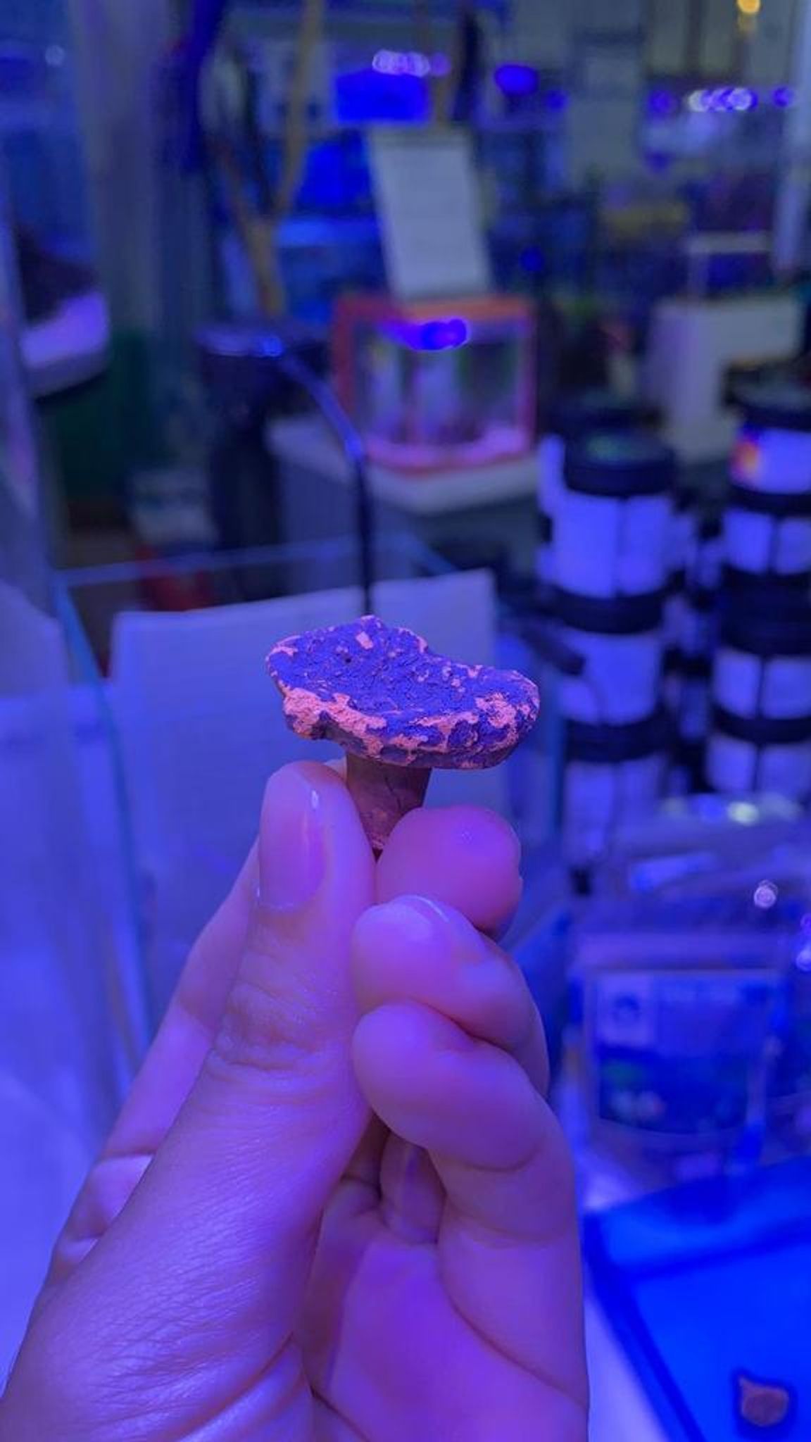 FRAG DISC ASFD-T/S