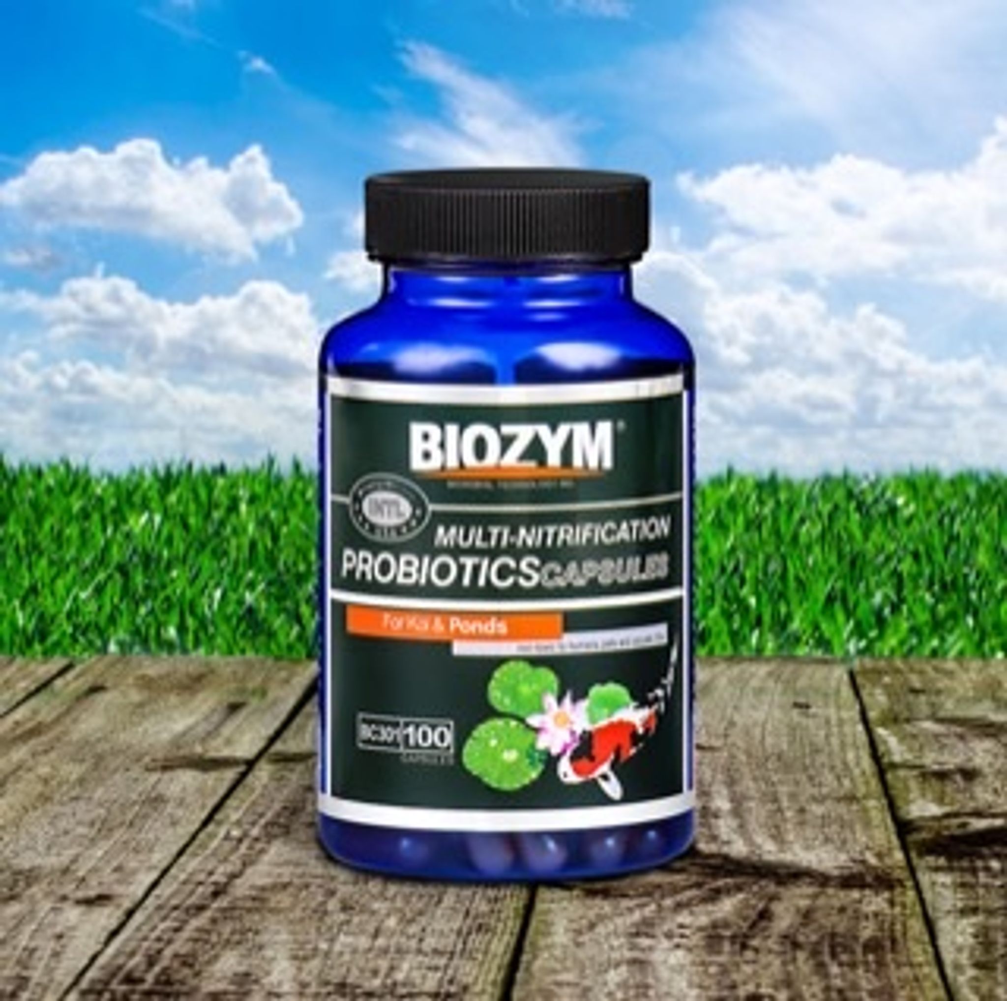 BIOZYM MULIT-NITRIFICATION PROBOTICS CAPSULE FRESHWATER