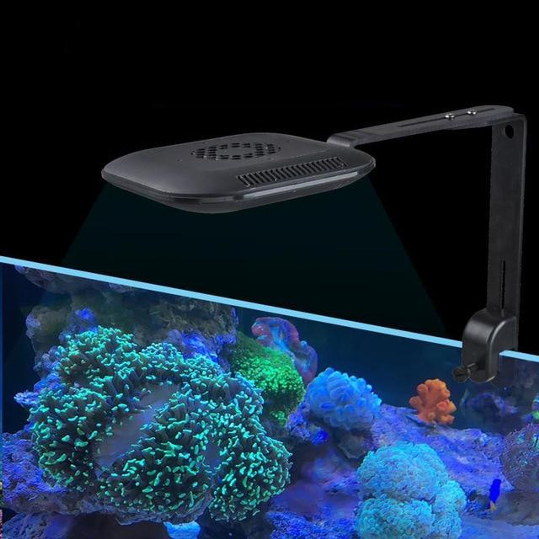 JEBAO LED LAMP AK80