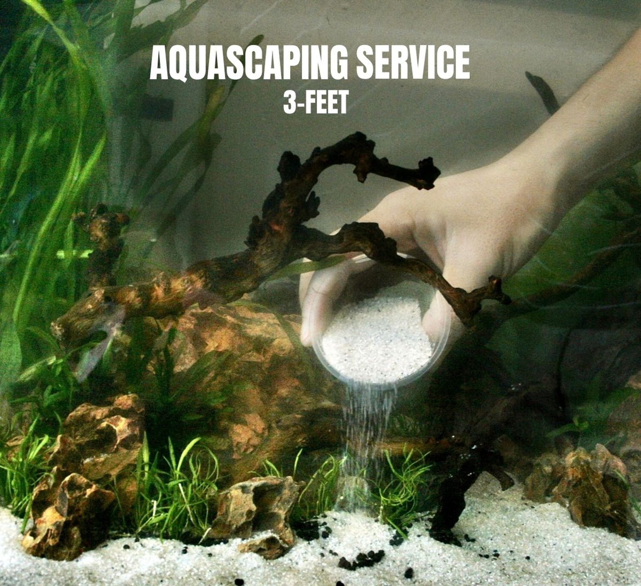 FishyHub Aquascaping Service for 3 feet tanks