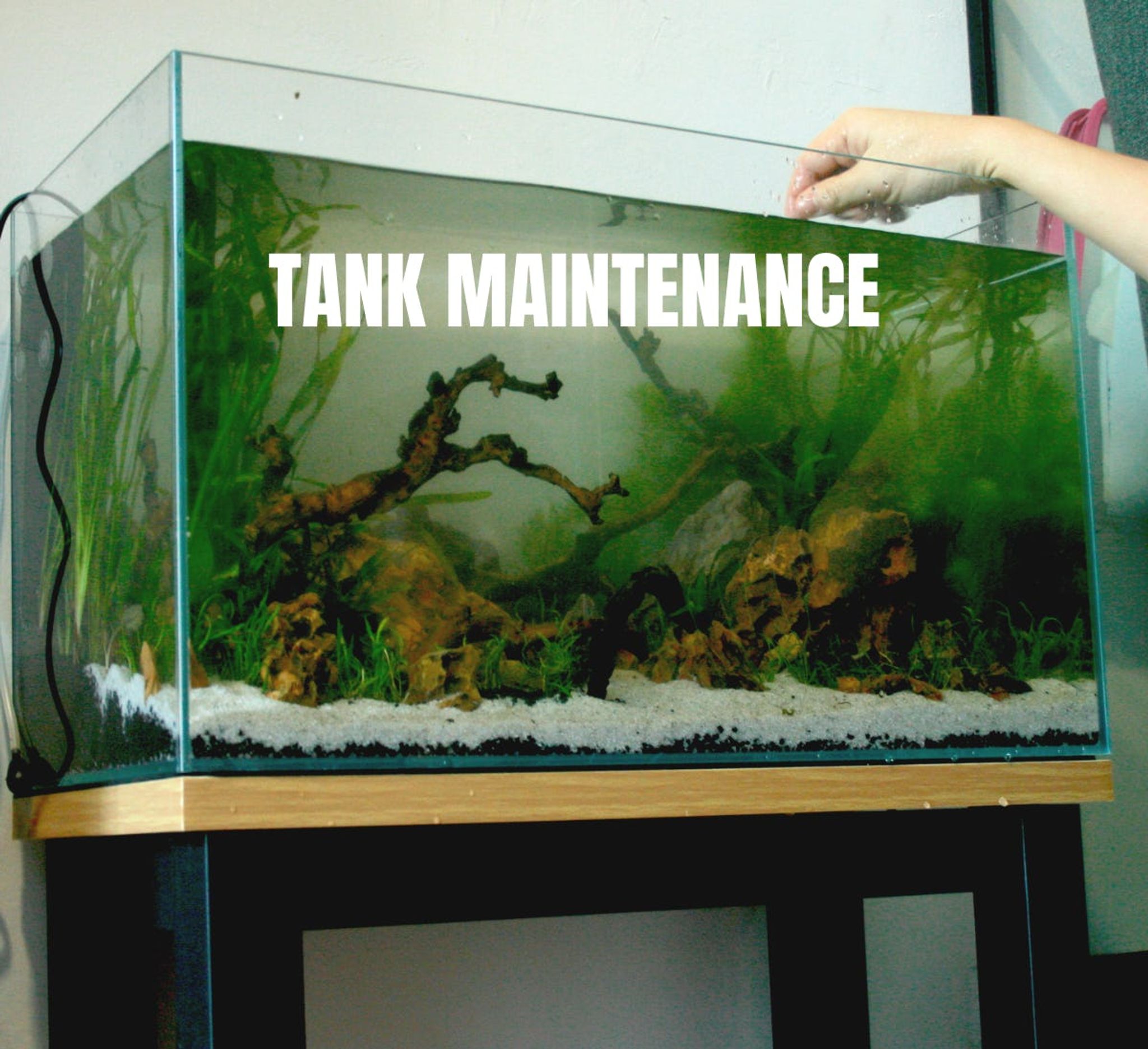 Maintenance Services (one time)
