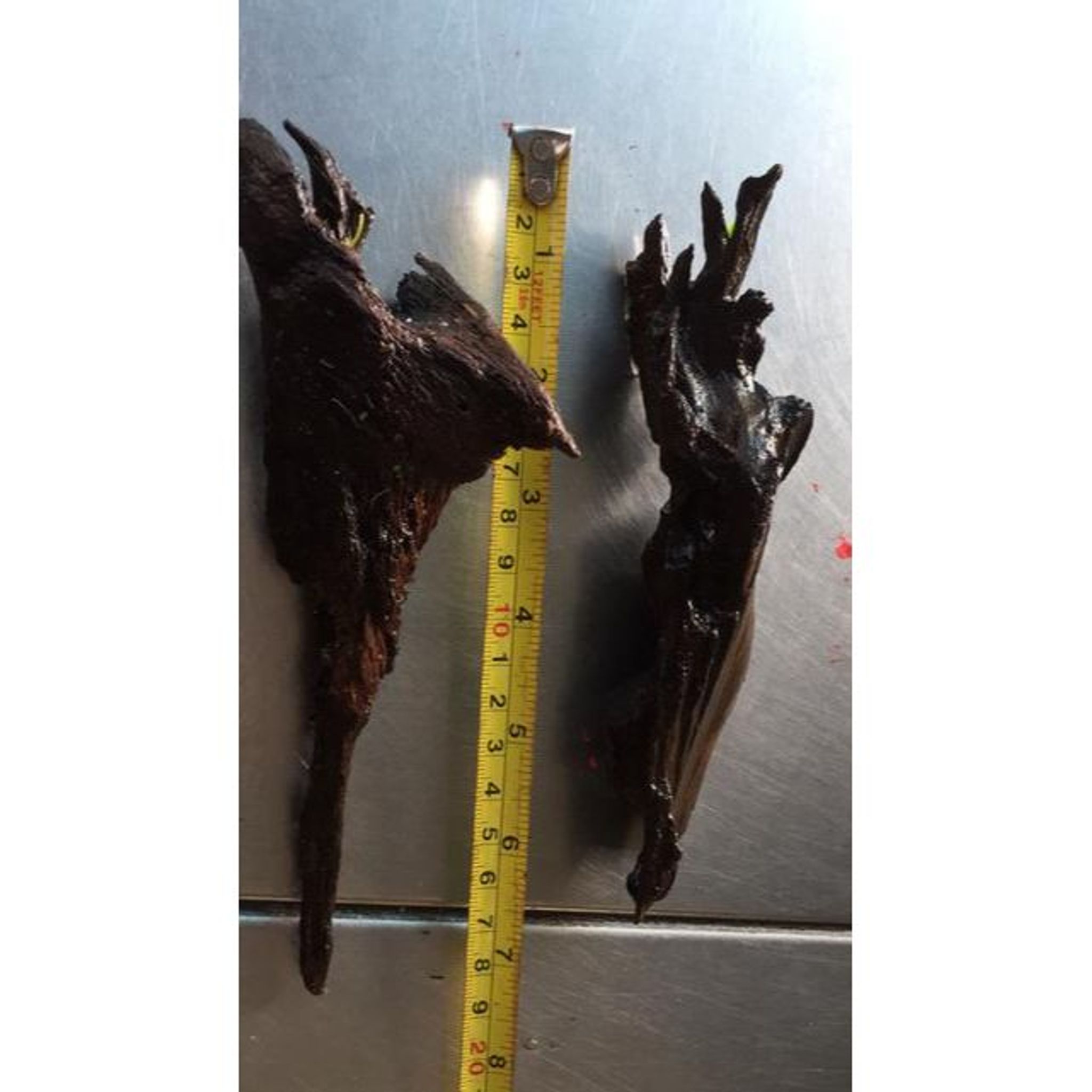 Small driftwood