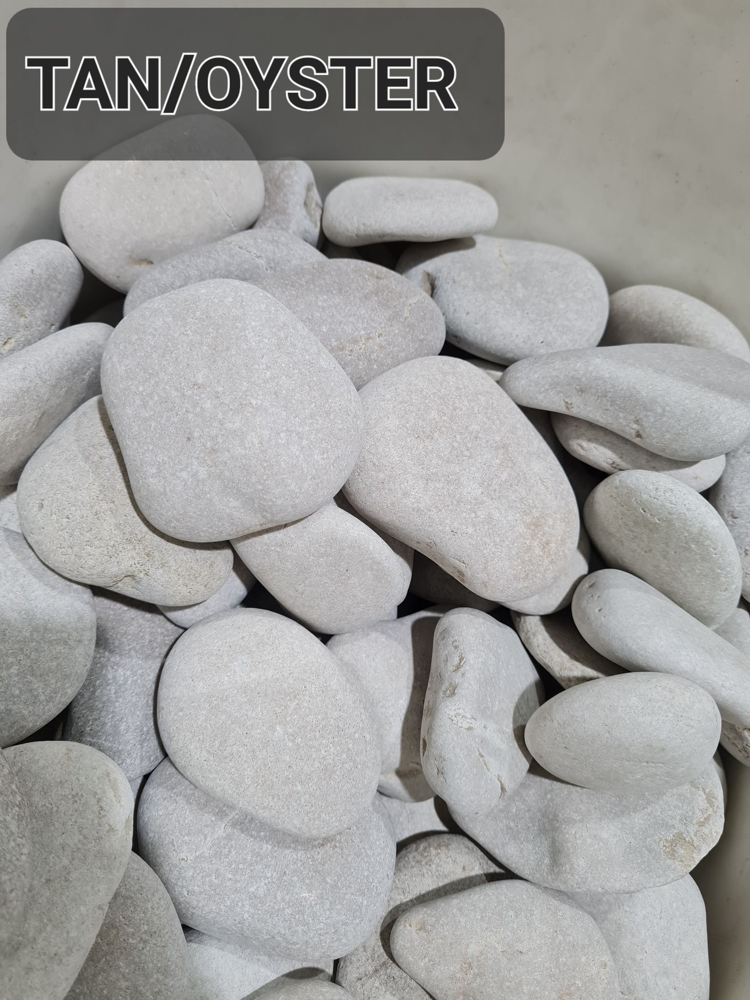 Tan Oyster