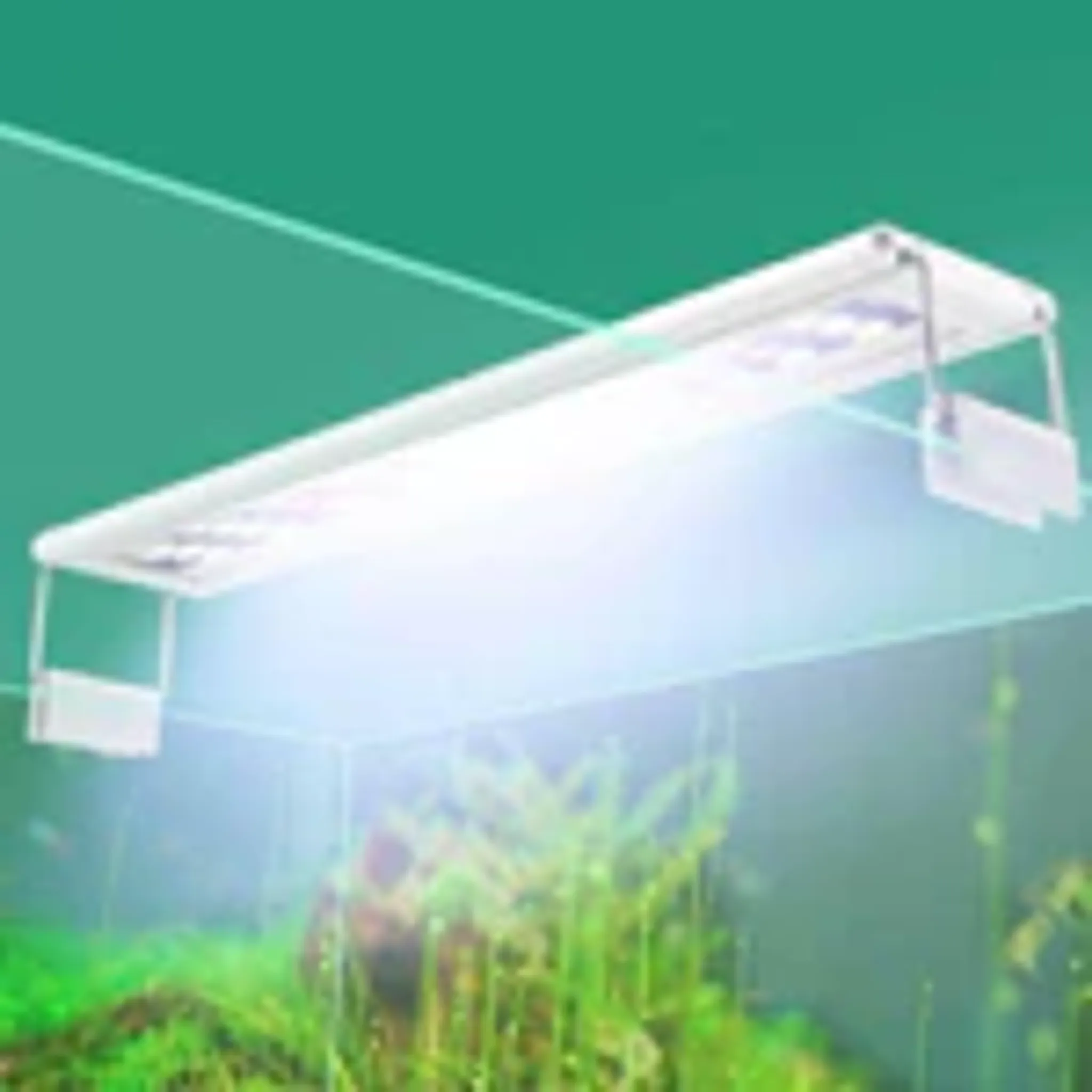 Roxin AST Led Lamp - Colourful Series