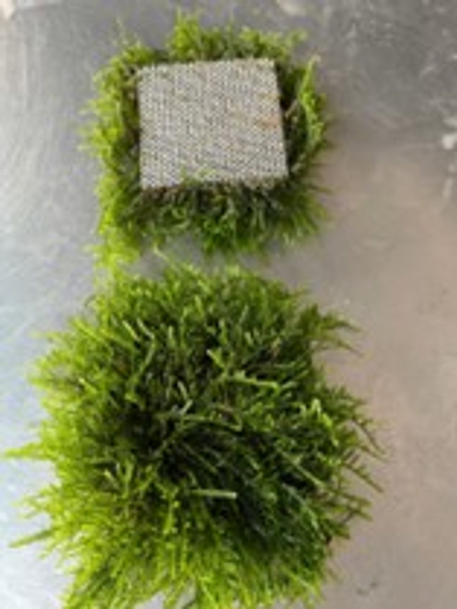 Weeping Moss (Mesh)