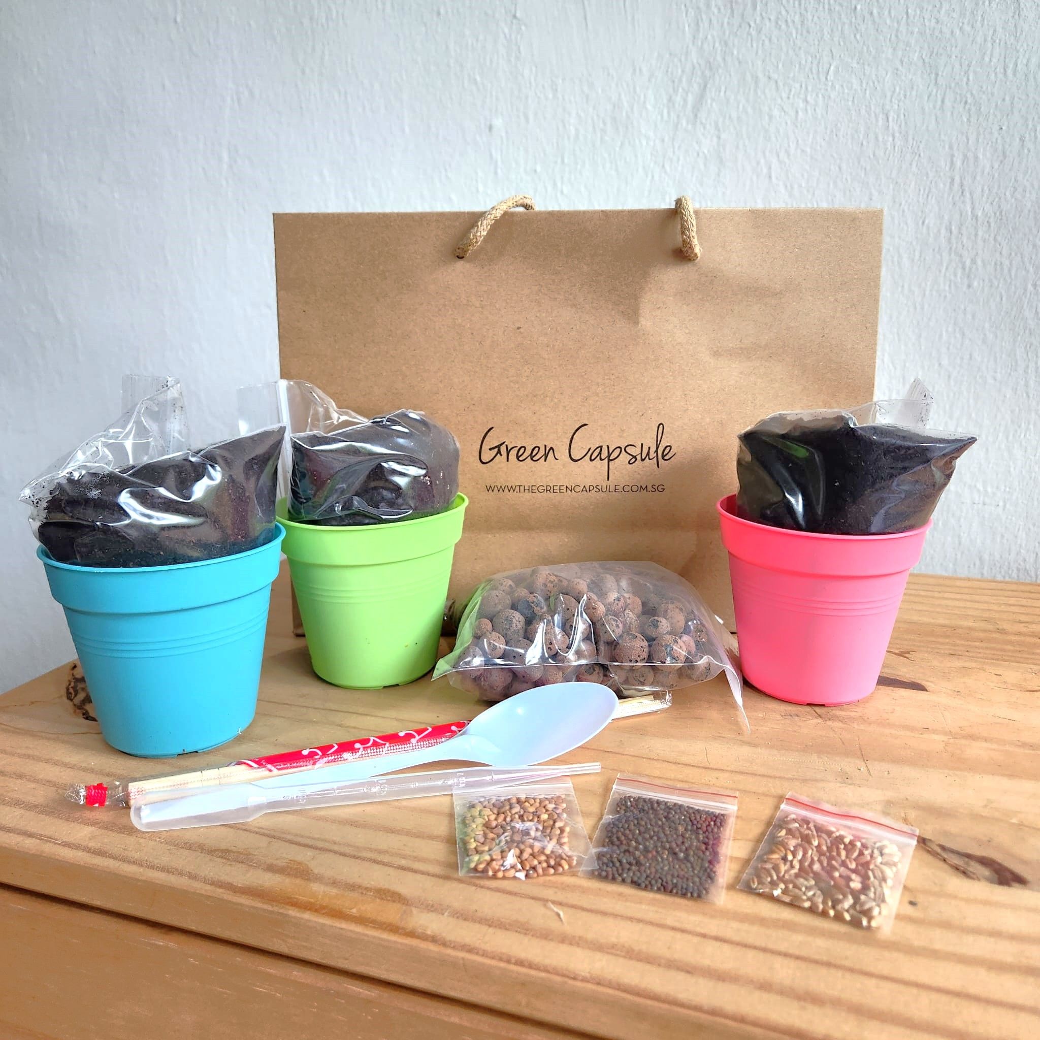 Microgreens DIY Kit