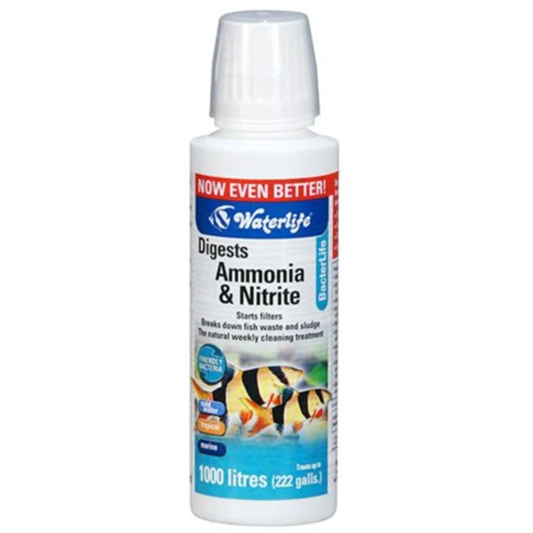 Waterlife Sterazin