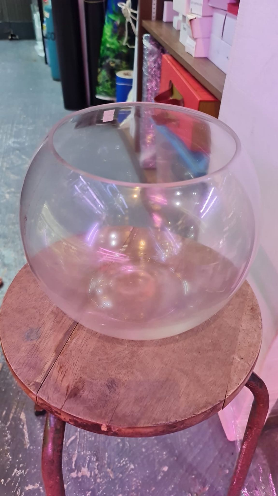 Fish Bowl