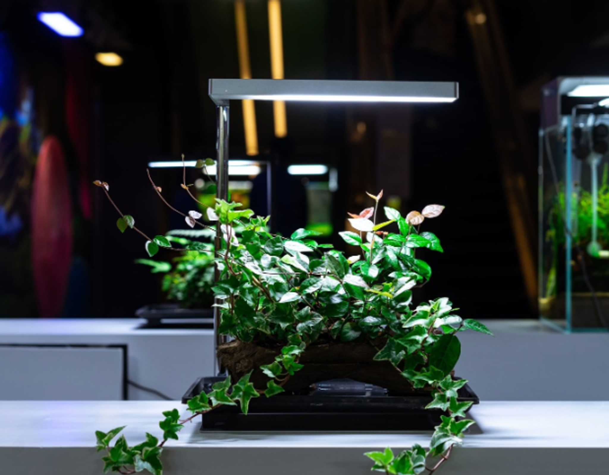 ONF FLAT Nano Stand (Silver / For 30-36cm Tank)