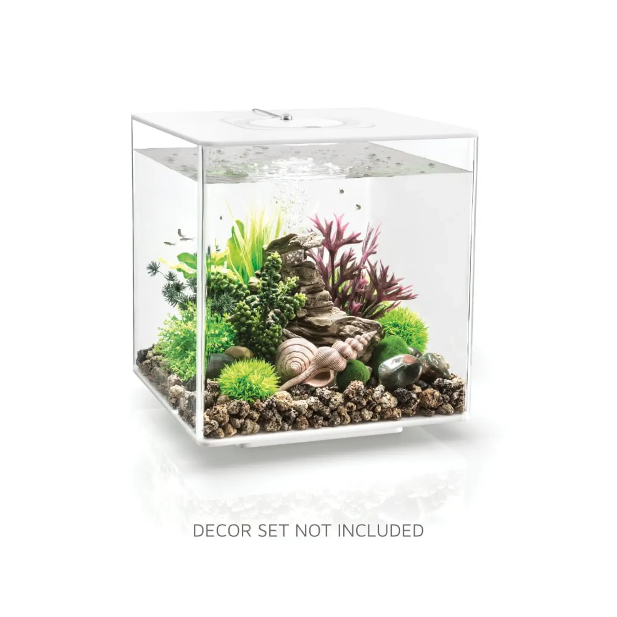 biOrb CUBE 30 Aquarium (MCR - Multi-Color Remote)