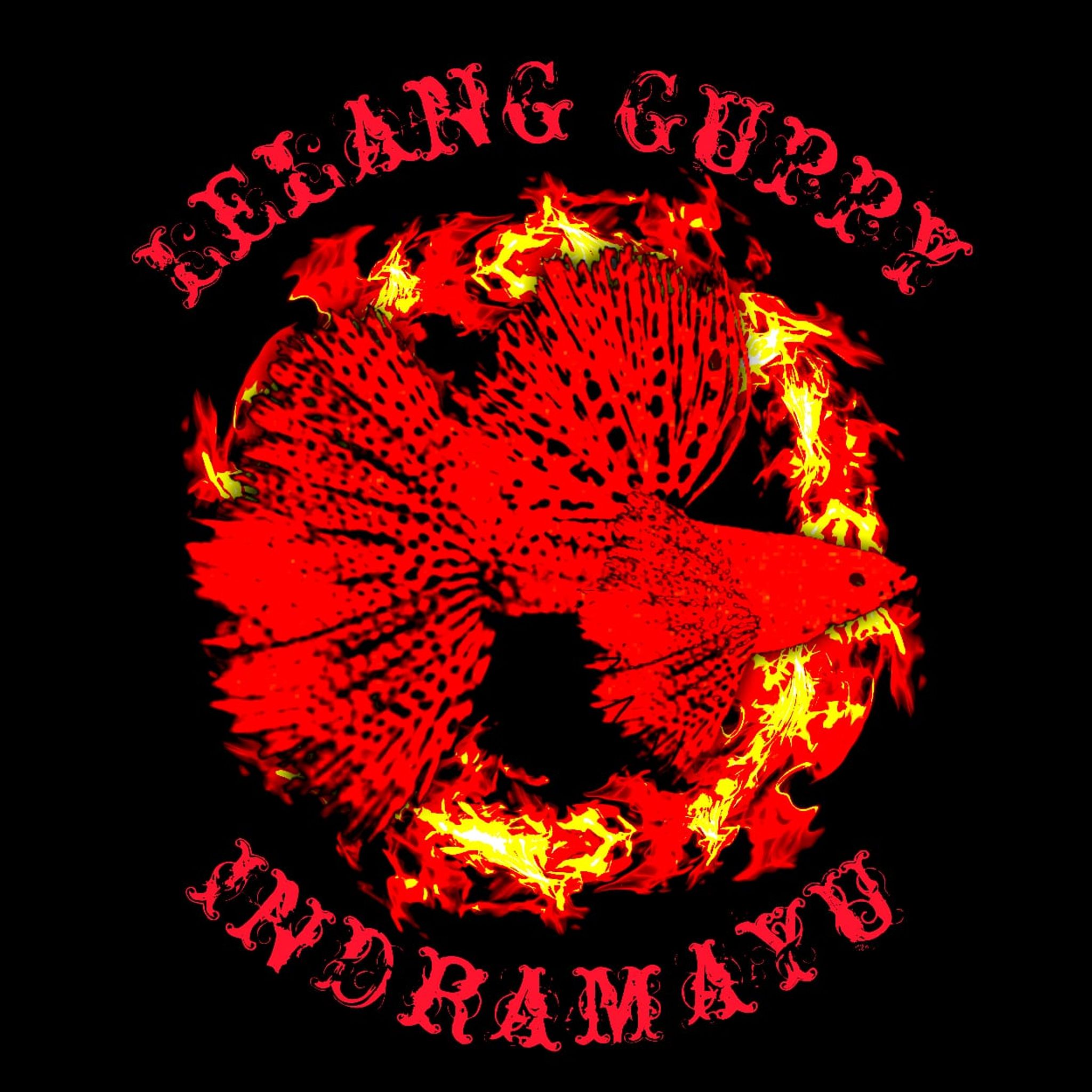 Lelang Guppy Indramayu