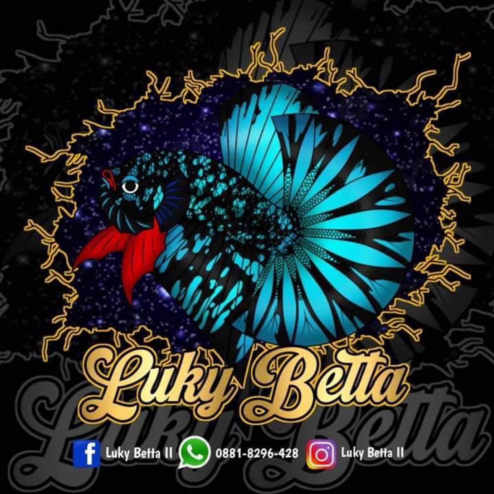 LUKY BETTA 