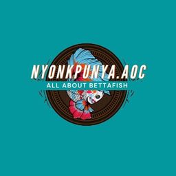 NYONKPUNYA.AOC