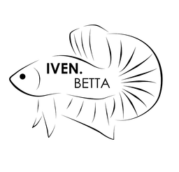 Iven Betta