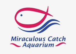 Miraculous Catch Aquarium